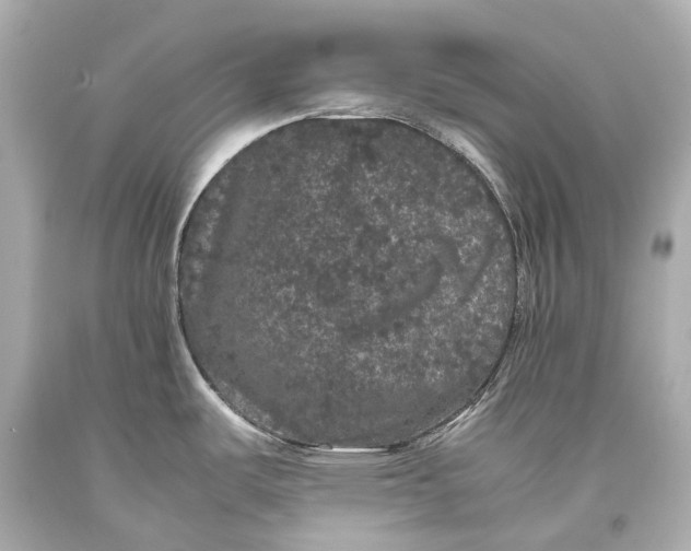 X0000093371487200711011218