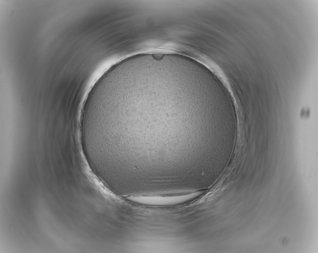 X0000093371488200711011218