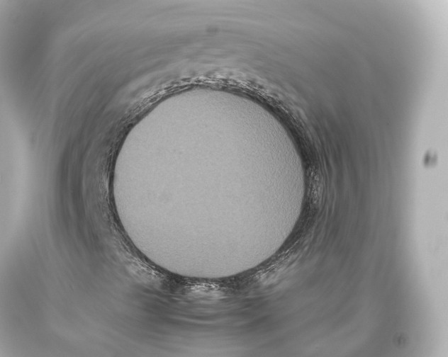 X0000093371489200711011217