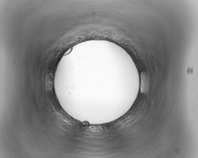 X0000093371491200711011217