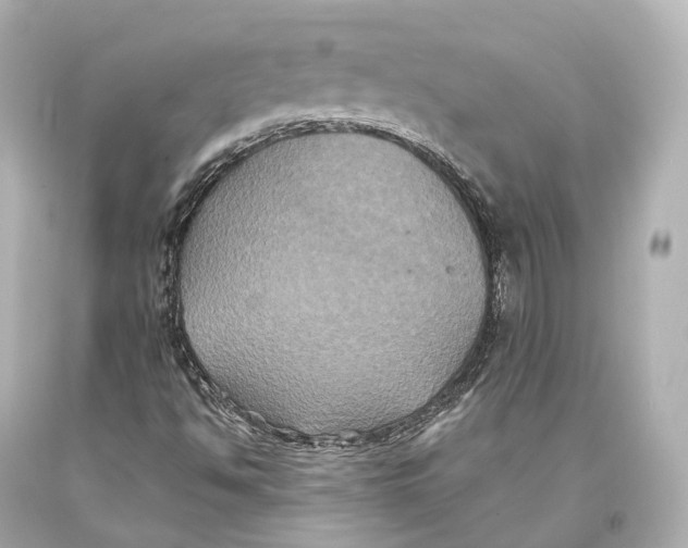 X0000093371494200711011217