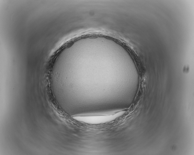 X0000093371496200711011217