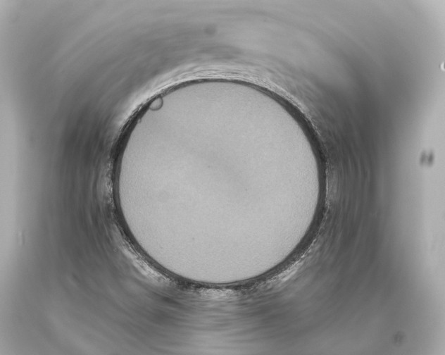 X0000093371498200711011217