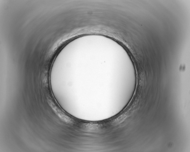 X0000093371499200711011217