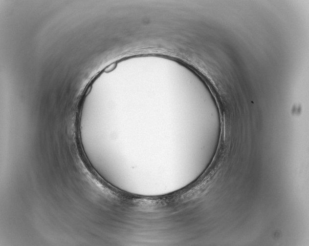 X0000093371500200711011217