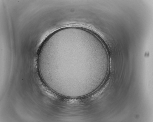 X0000093371501200711011217