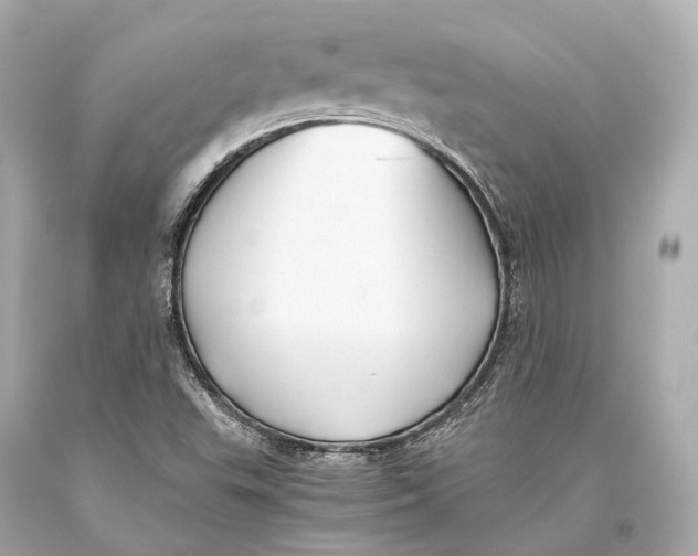 X0000093371503200711011217