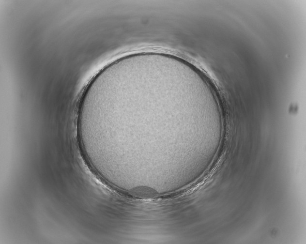 X0000093371504200711011217