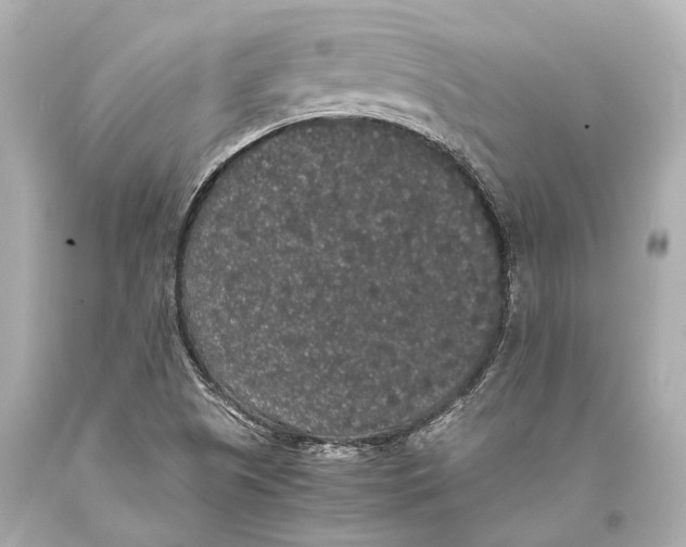 X0000093371505200711011217