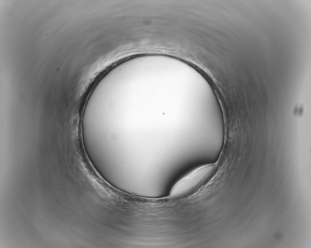 X0000093371507200711011217