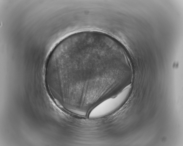 X0000093371508200711011217