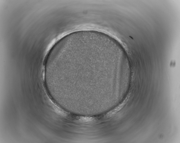 X0000093371509200711011217