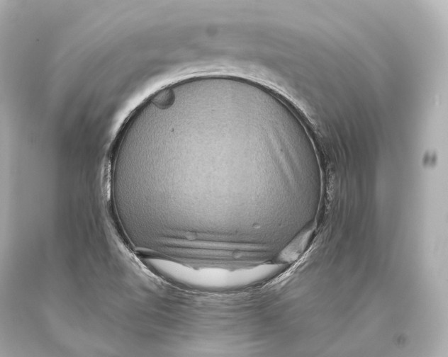 X0000093371510200711011217