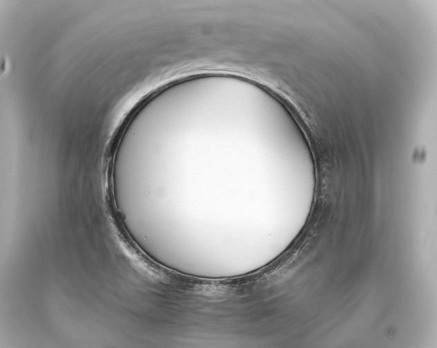 X0000093371511200711011217