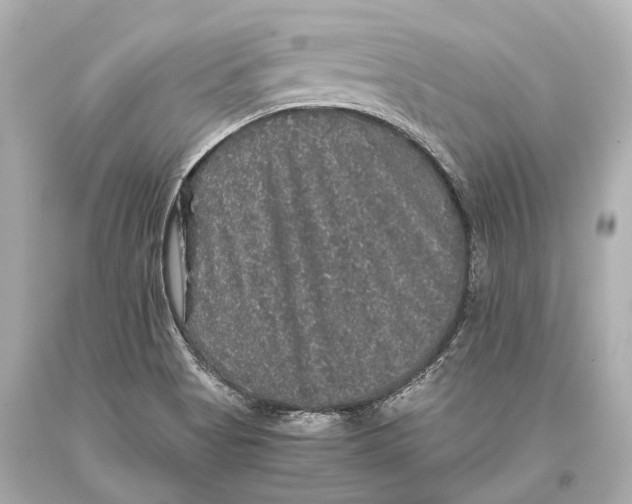 X0000093371513200711011217