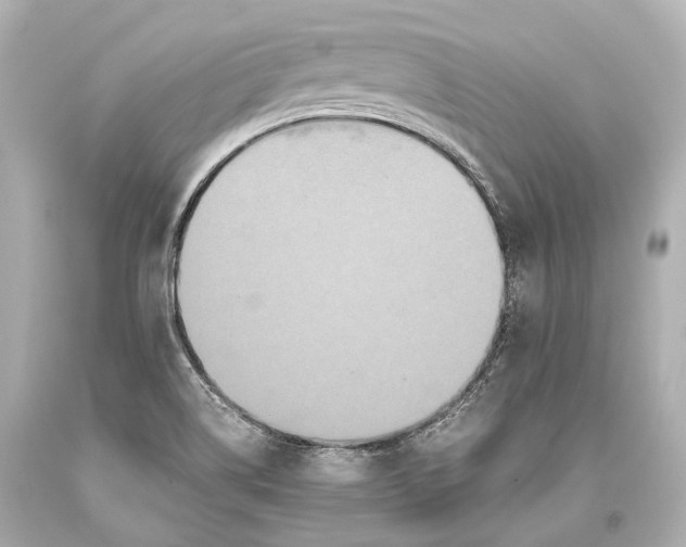 X0000093371514200711011217