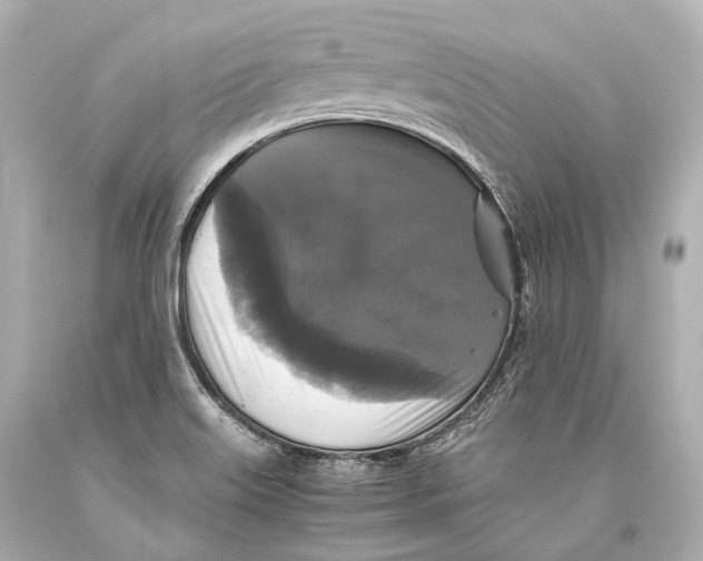 X0000093371515200711011217