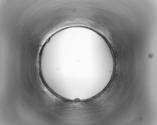 X0000093371516200711011217