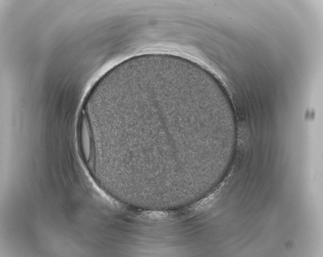 X0000093371517200711011217