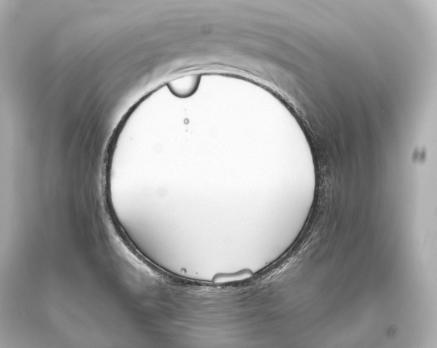 X0000093371518200711011217