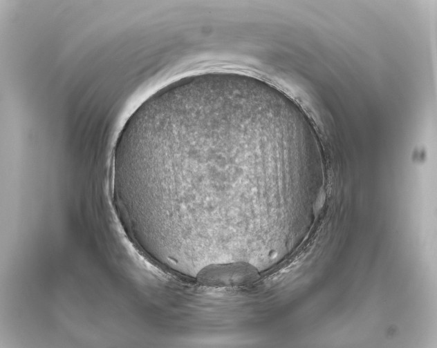 X0000093371520200711011217