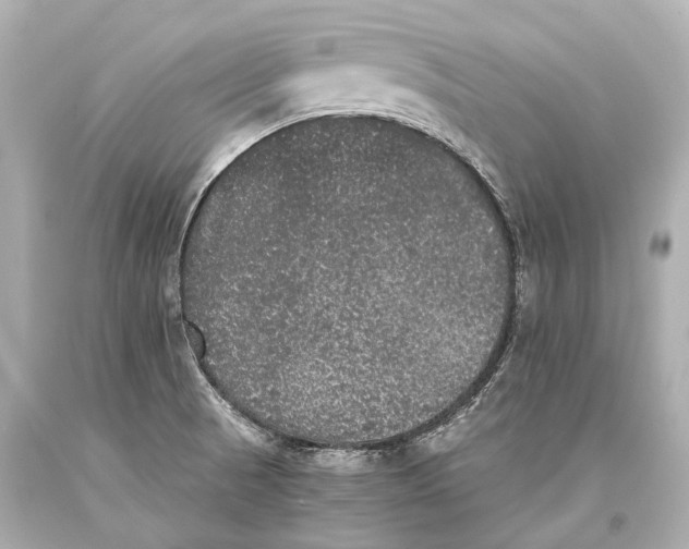 X0000093371521200711011217