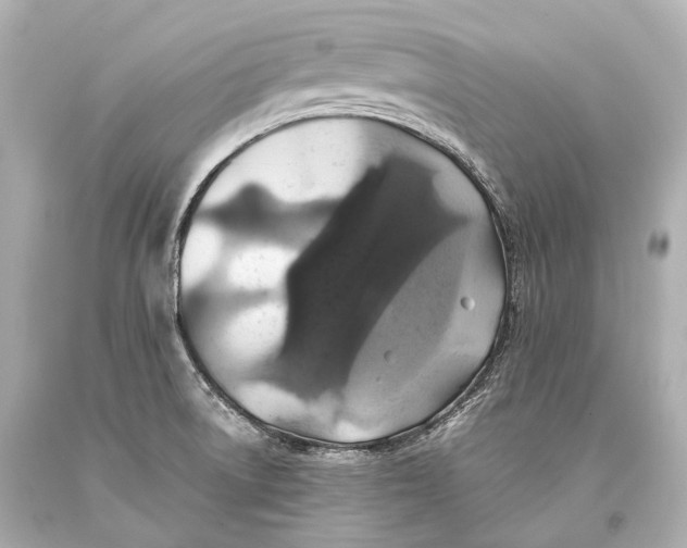 X0000093371522200711011217