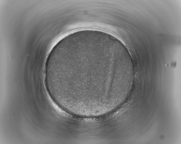 X0000093371523200711011217