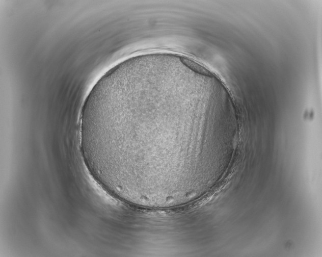 X0000093371524200711011217