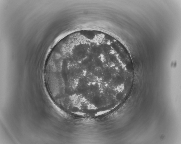 X0000093371525200711011217