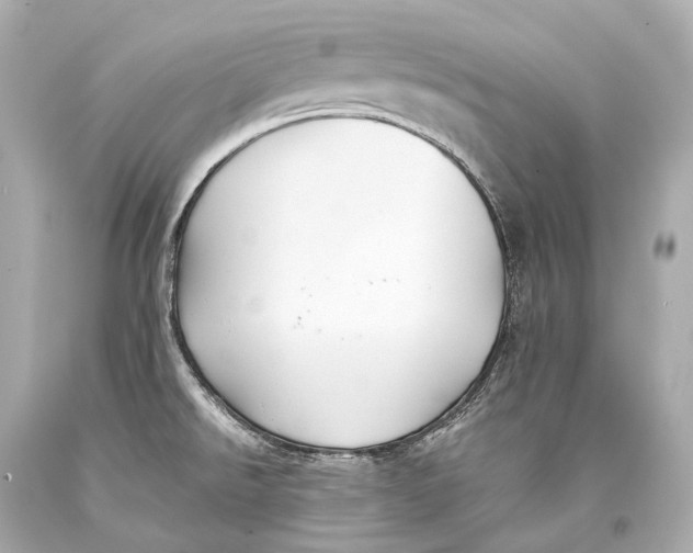 X0000093371526200711011217