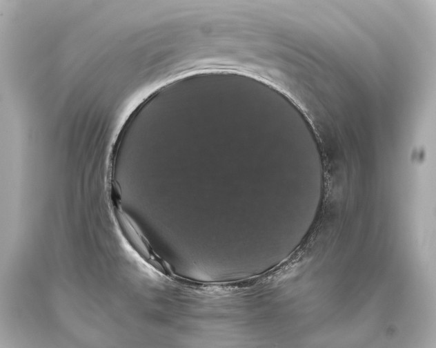 X0000093371527200711011217