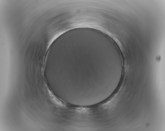 X0000093371529200711011217