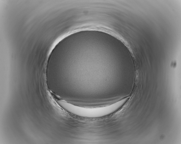 X0000093371530200711011217