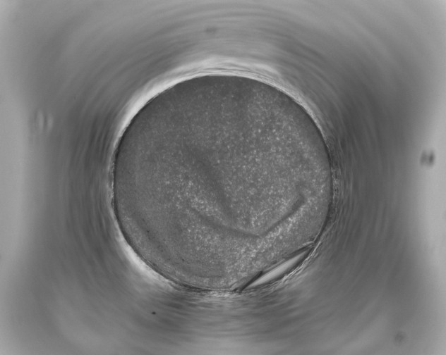 X0000093371531200711011217