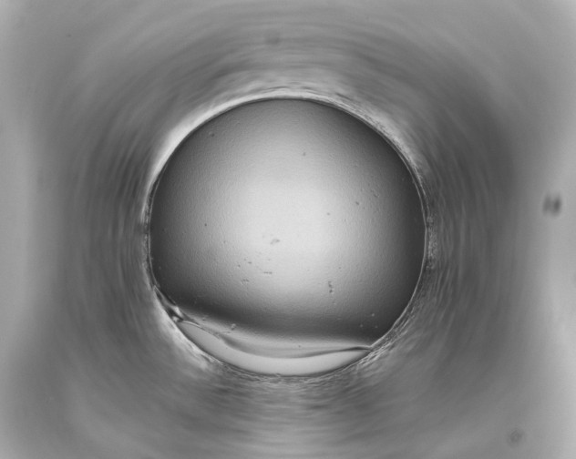 X0000093371532200711011217