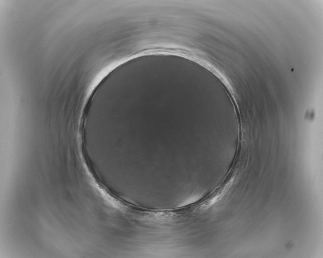 X0000093371533200711011217