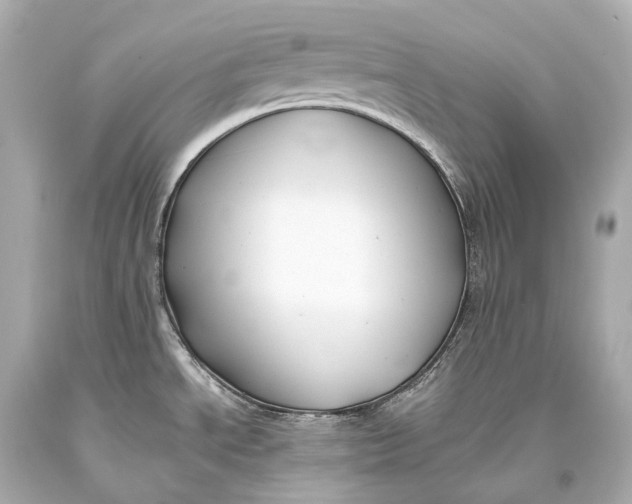 X0000093371534200711011217