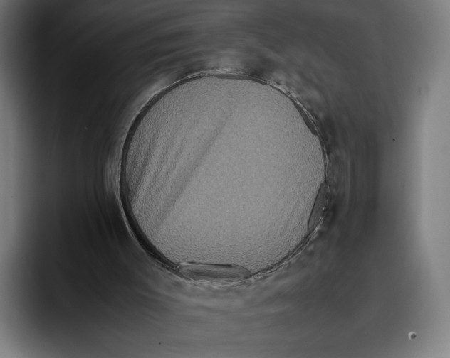 X0000093370003200711081534