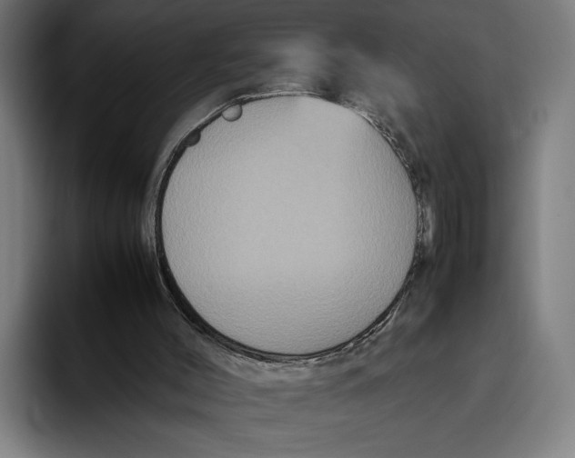 X0000093370004200711081534