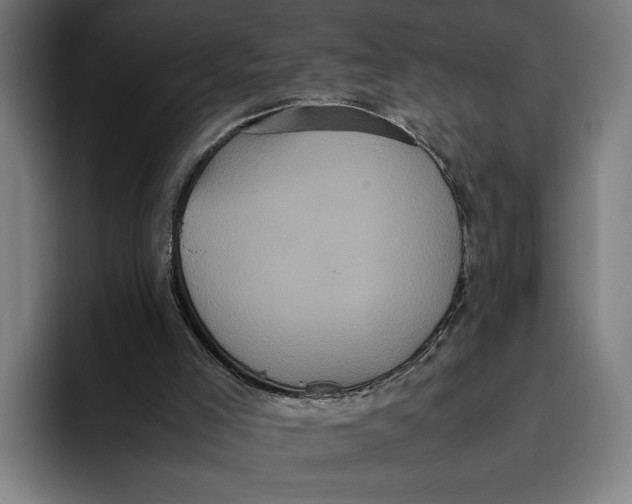 X0000093370005200711081534