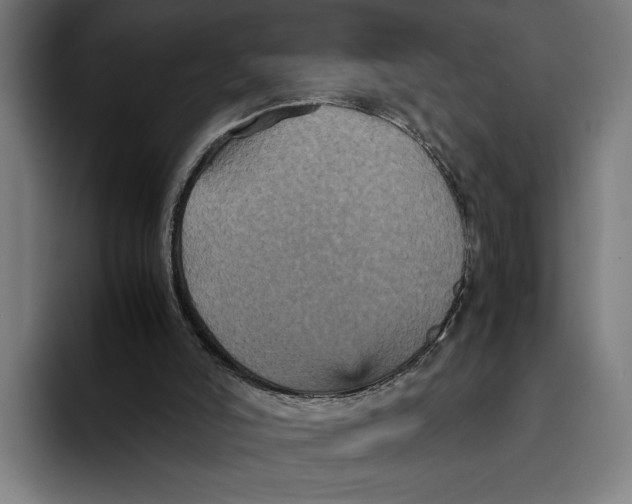 X0000093370006200711081534