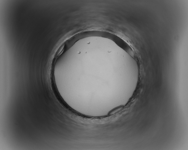 X0000093370007200711081534