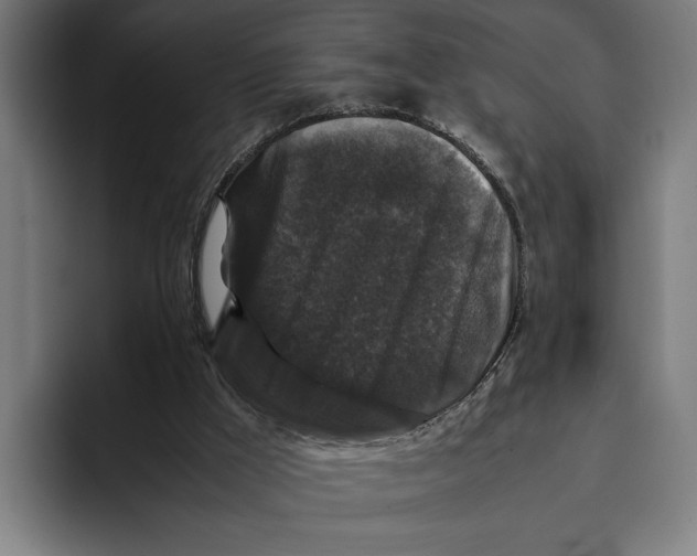 X0000093370009200711081534