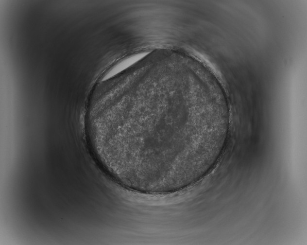 X0000093370010200711081534