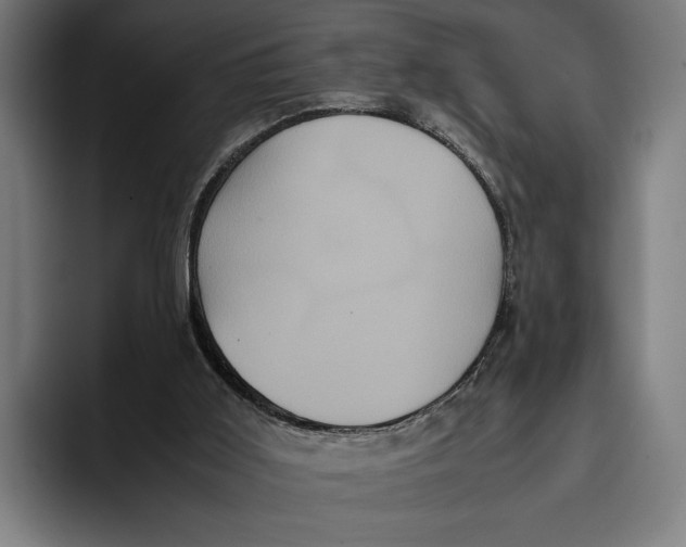 X0000093370011200711081534
