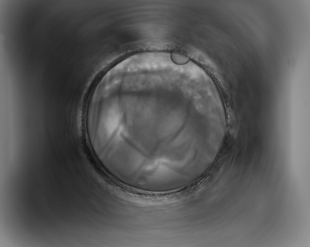 X0000093370012200711081534