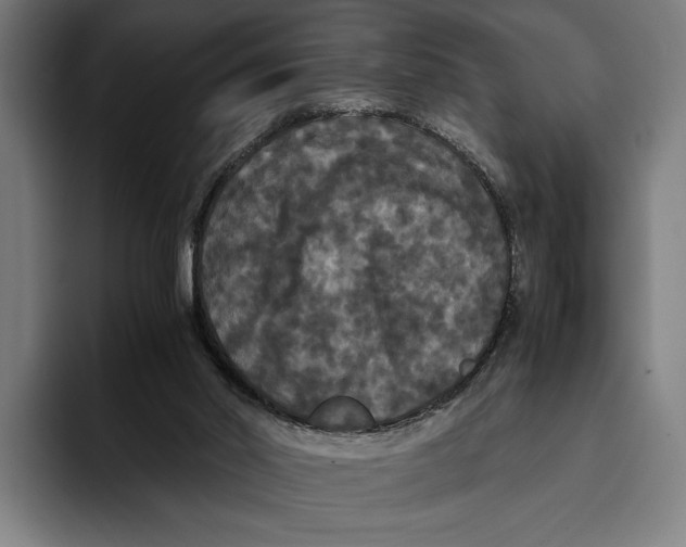 X0000093370014200711081534