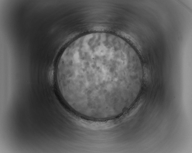 X0000093370016200711081534
