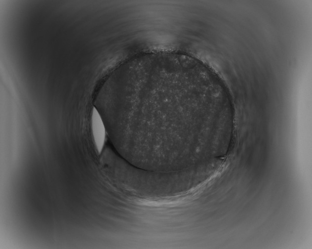 X0000093370017200711081534